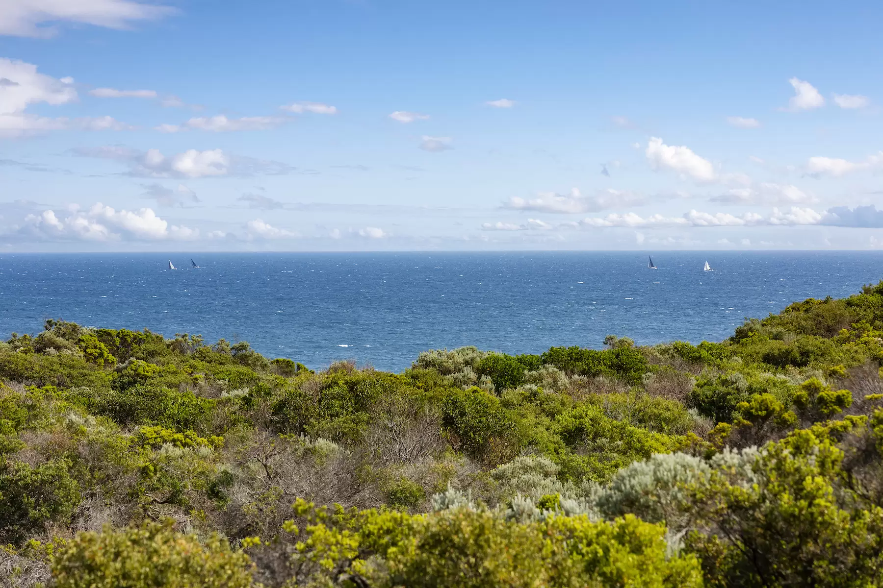 16 Paringa Road, Portsea Sold by Melbourne Sotheby's International Realty - image 1