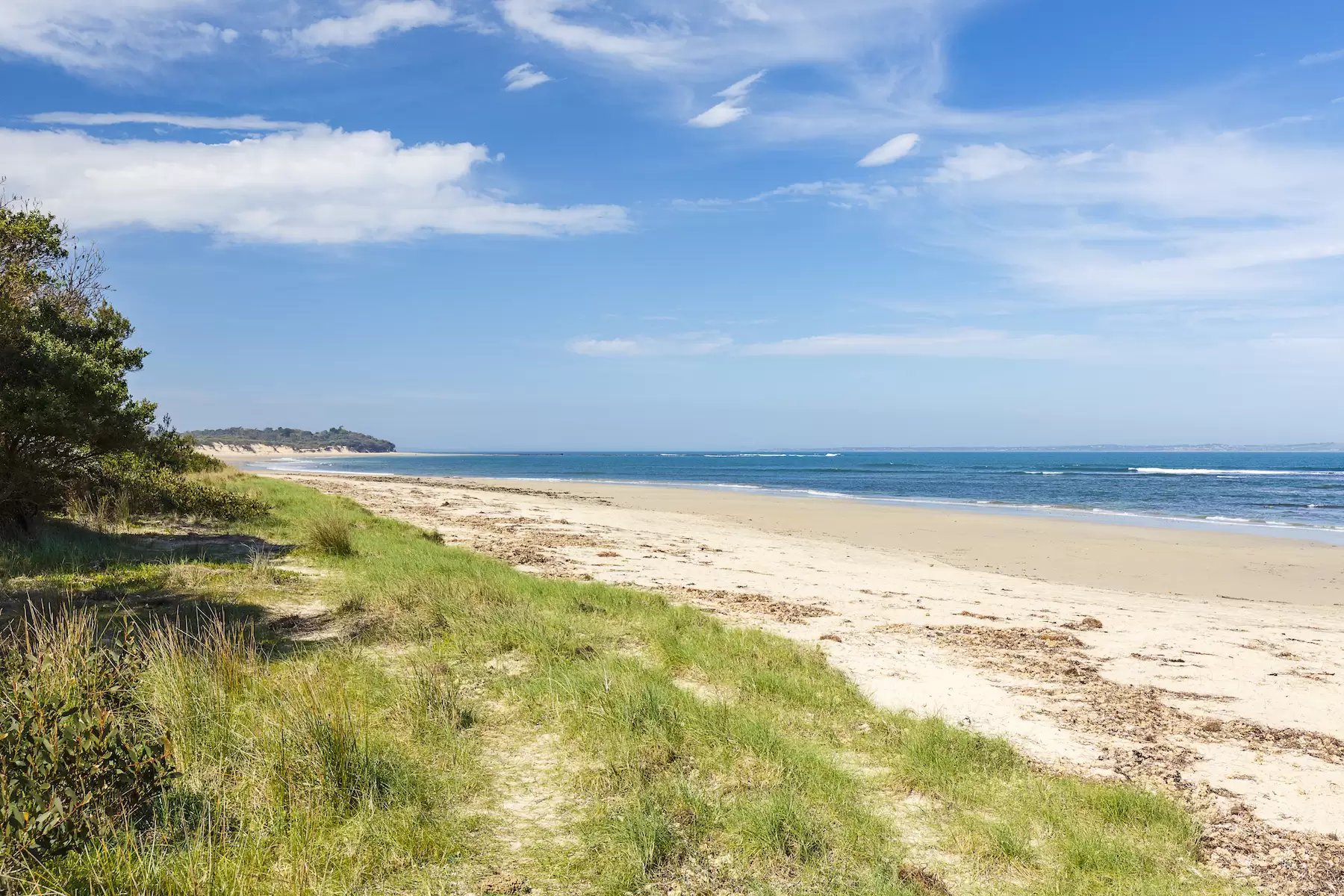 34 Seychelles Road, Shoreham Sold by Melbourne Sotheby's International Realty - image 16