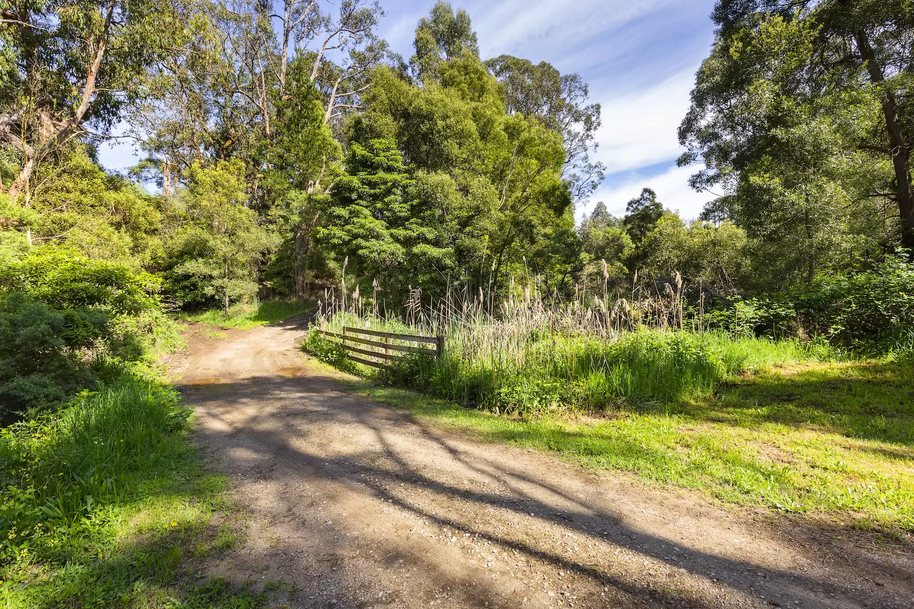 340 Tucks Road, Shoreham Sold by Melbourne Sotheby's International Realty - image 7