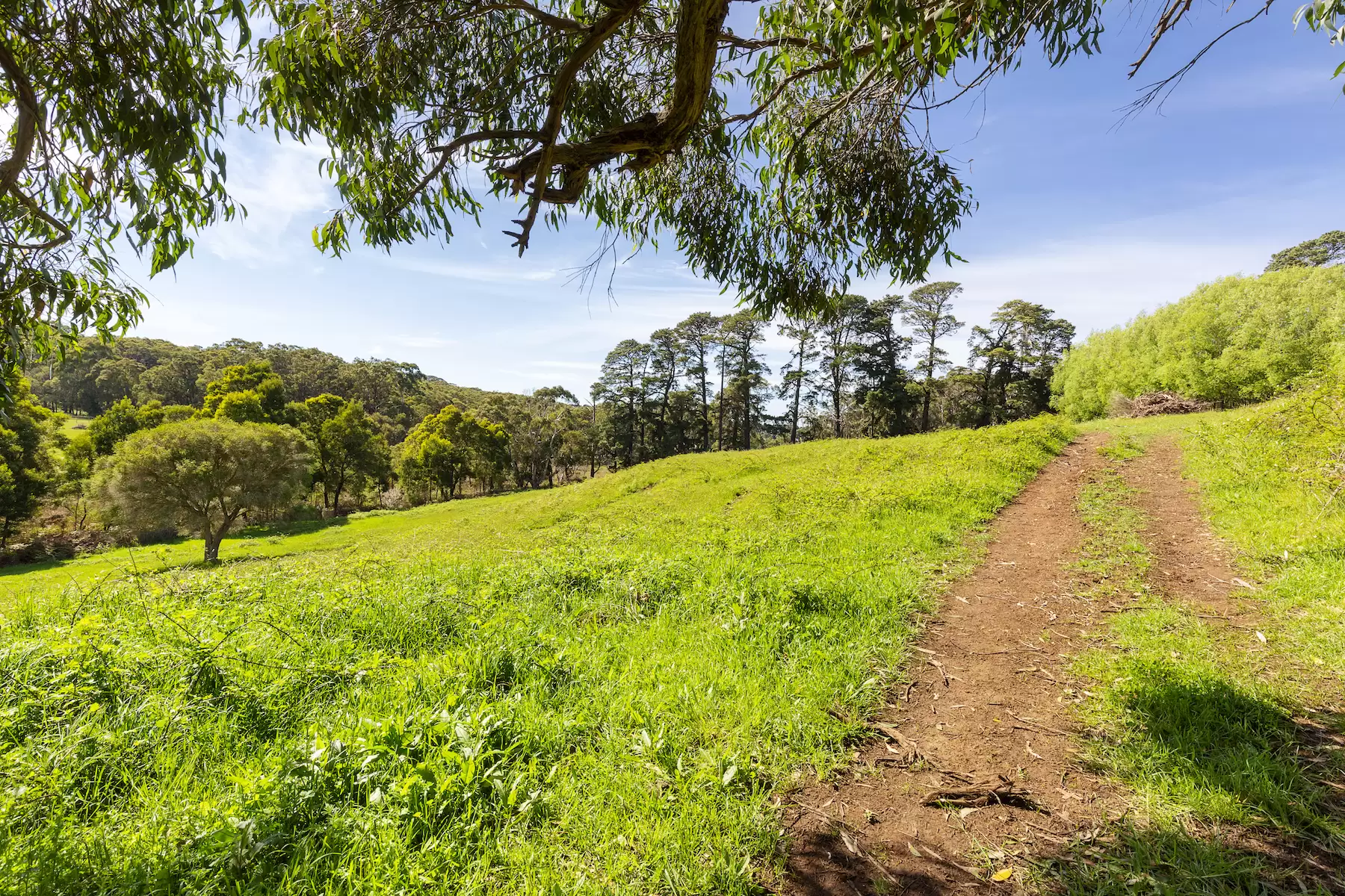 340 Tucks Road, Shoreham Sold by Melbourne Sotheby's International Realty - image 12