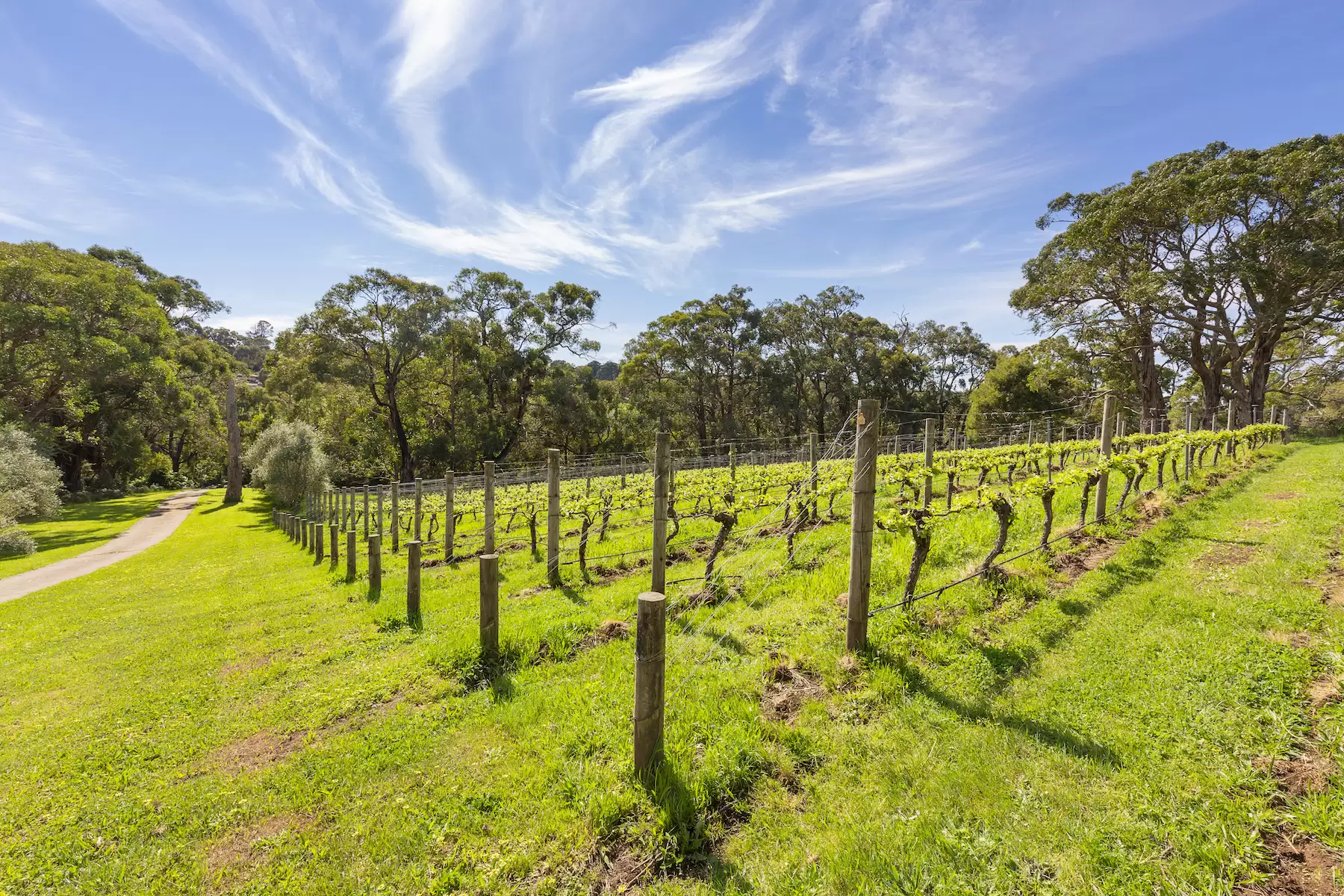 340 Tucks Road, Shoreham Sold by Melbourne Sotheby's International Realty - image 9