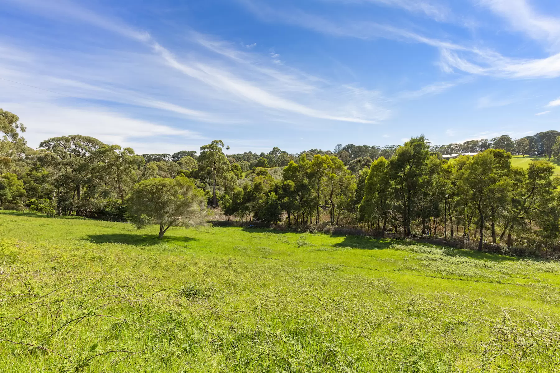 340 Tucks Road, Shoreham Sold by Melbourne Sotheby's International Realty - image 13