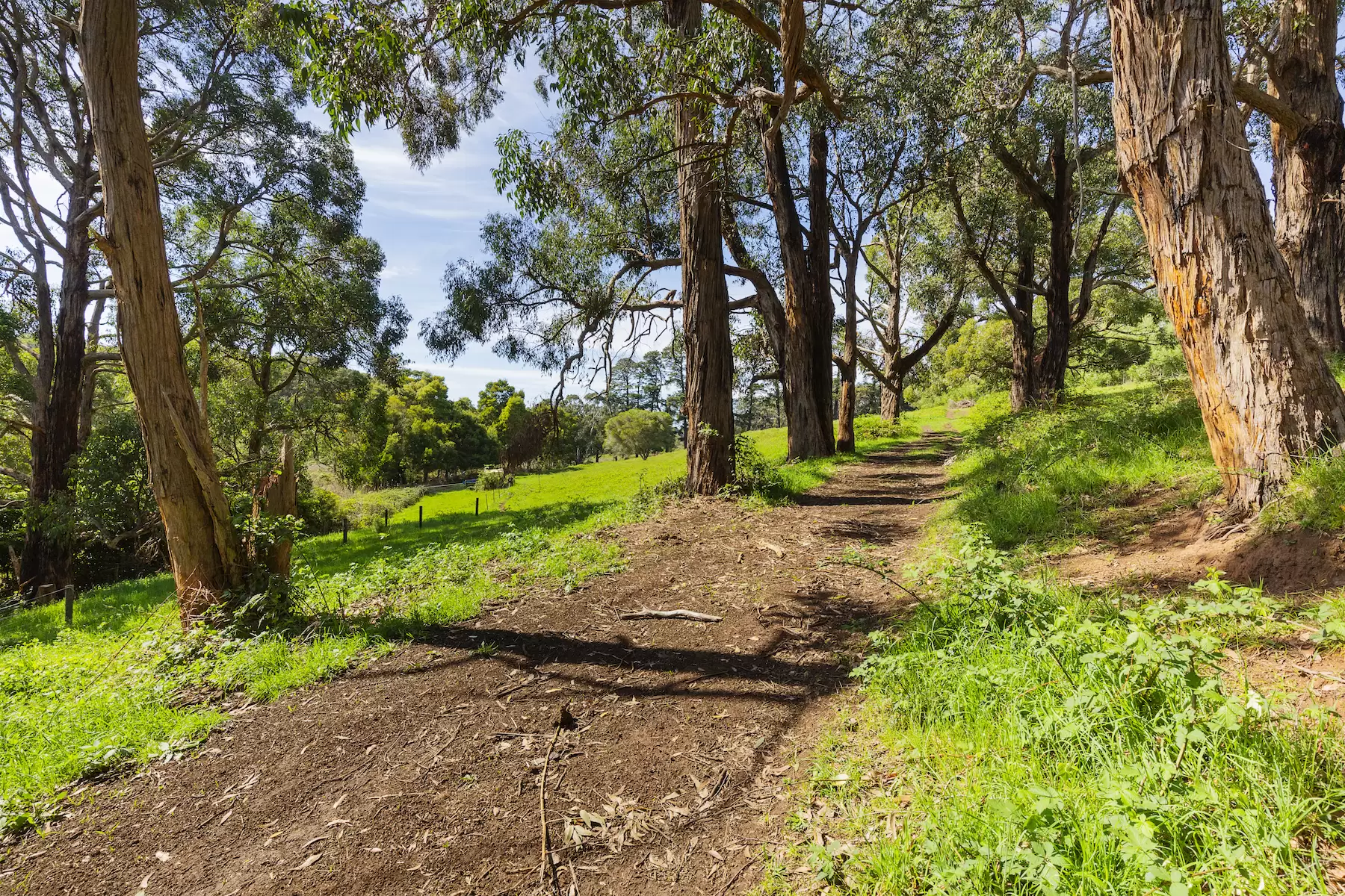 340 Tucks Road, Shoreham Sold by Melbourne Sotheby's International Realty - image 11