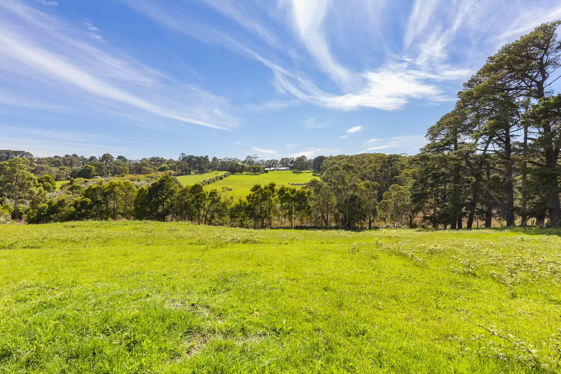 340 Tucks Road, Shoreham Sold by Melbourne Sotheby's International Realty - image 14