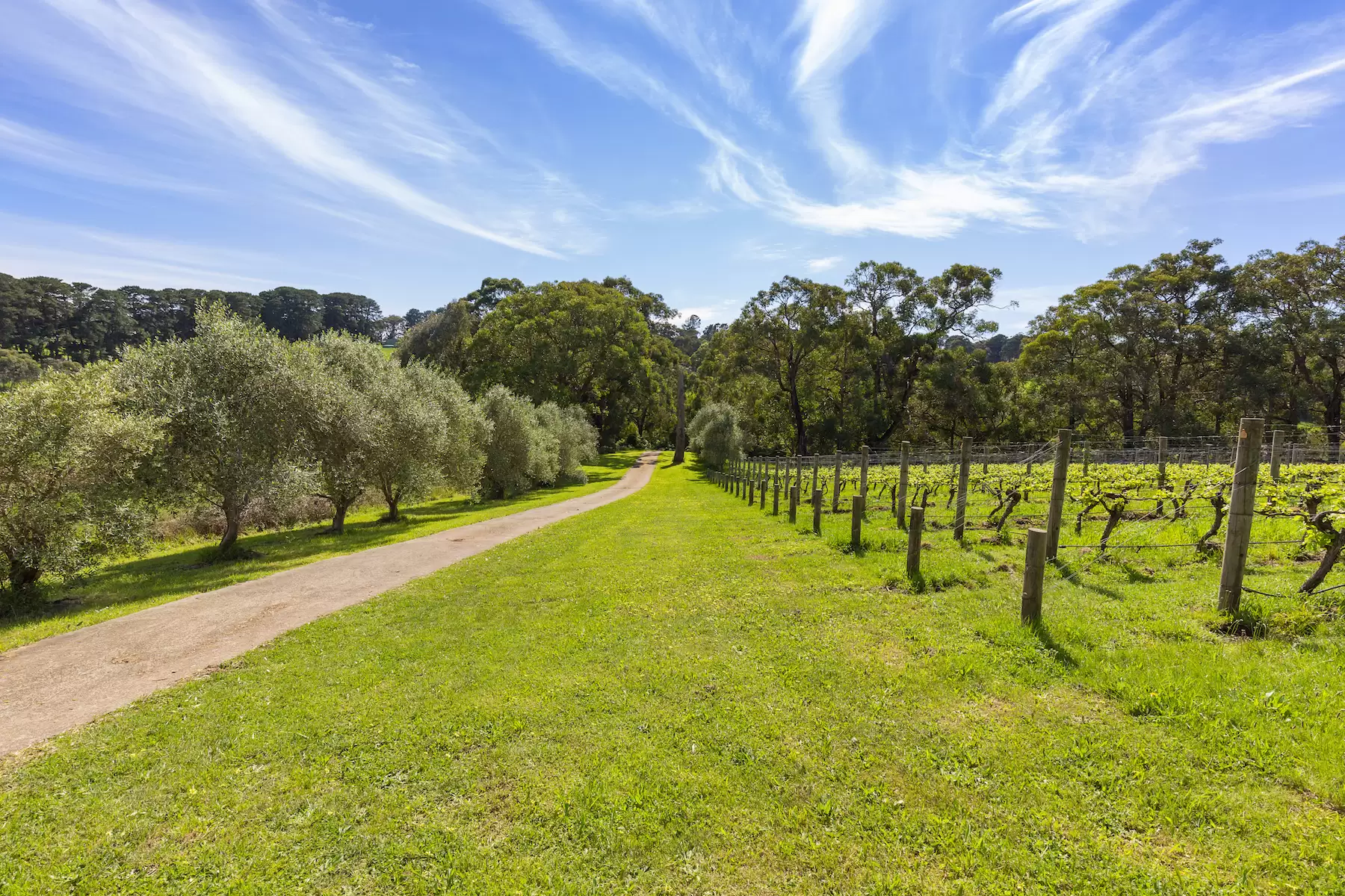 340 Tucks Road, Shoreham Sold by Melbourne Sotheby's International Realty - image 10