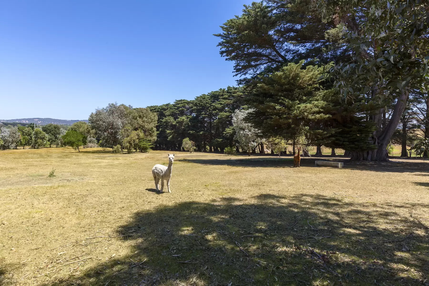 245 Nepean Highway, Mount Martha Sold by Melbourne Sotheby's International Realty - image 8