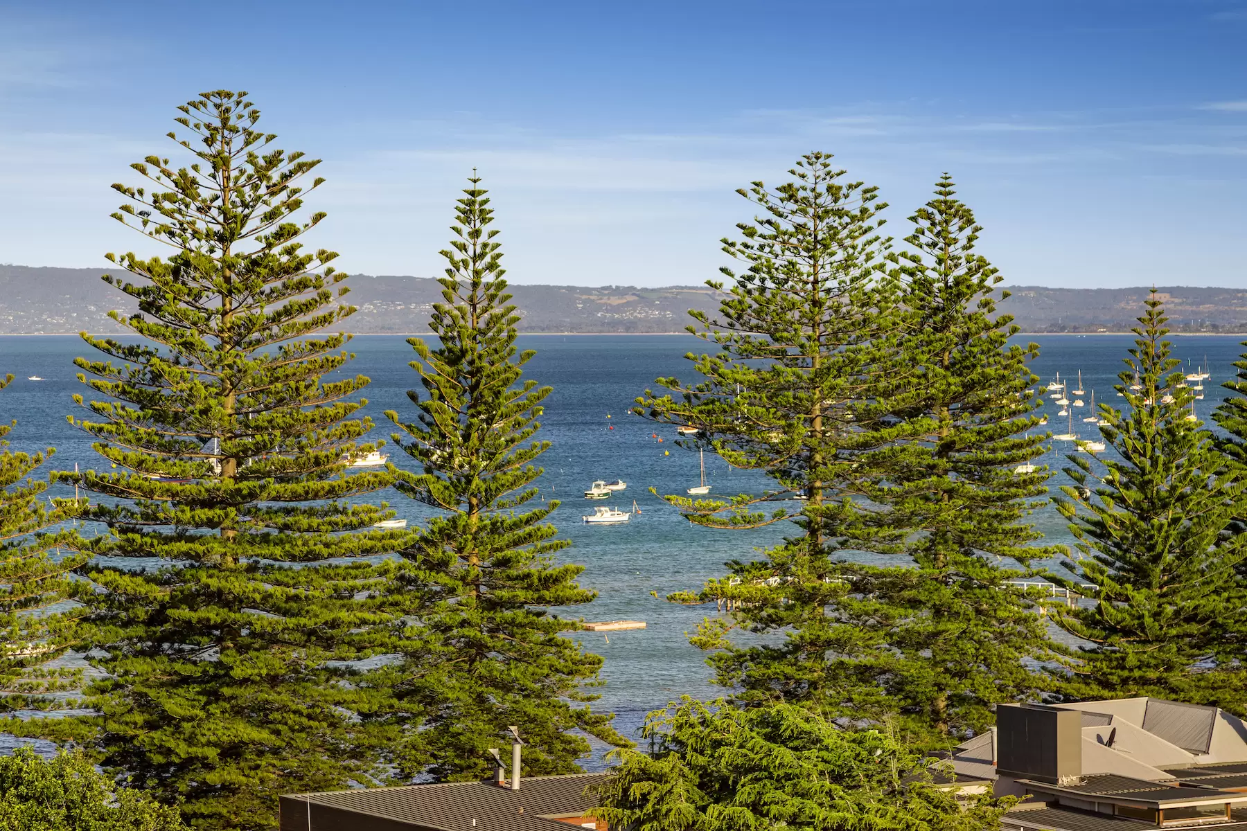 4 Ruth Avenue, Sorrento Sold by Melbourne Sotheby's International Realty - image 3