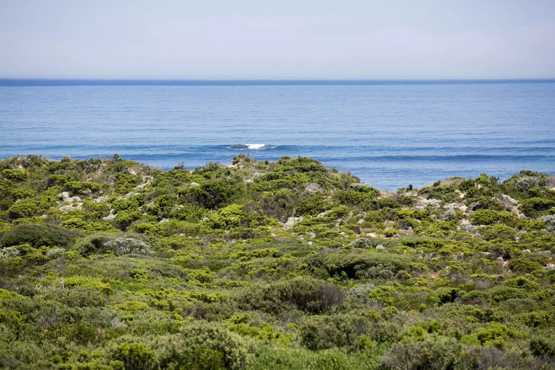 129-133 Ocean Drive, St Andrews Beach Sold by Melbourne Sotheby's International Realty - image 4