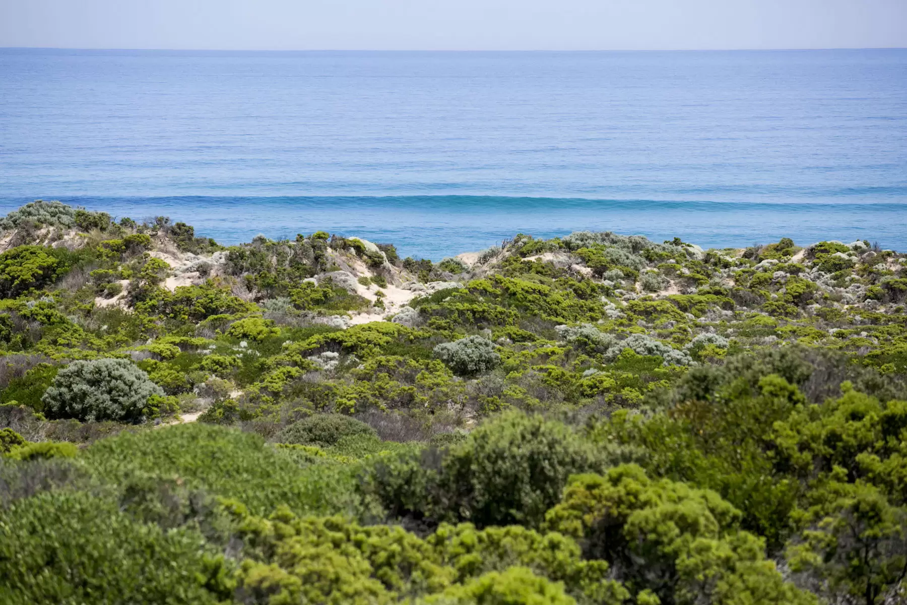 129-133 Ocean Drive, St Andrews Beach Sold by Melbourne Sotheby's International Realty - image 5