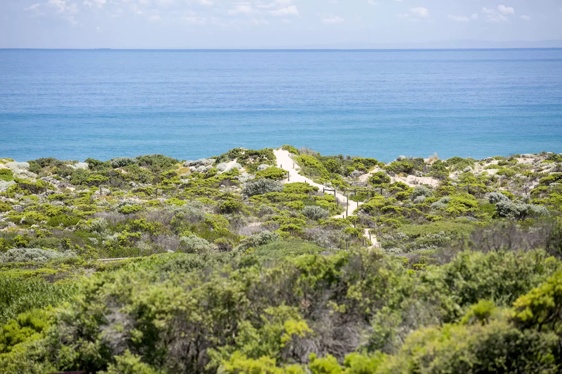 135 Ocean Drive, St Andrews Beach Sold by Melbourne Sotheby's International Realty - image 19