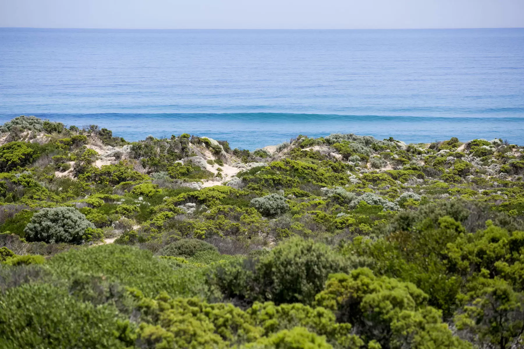 135 Ocean Drive, St Andrews Beach Sold by Melbourne Sotheby's International Realty - image 20