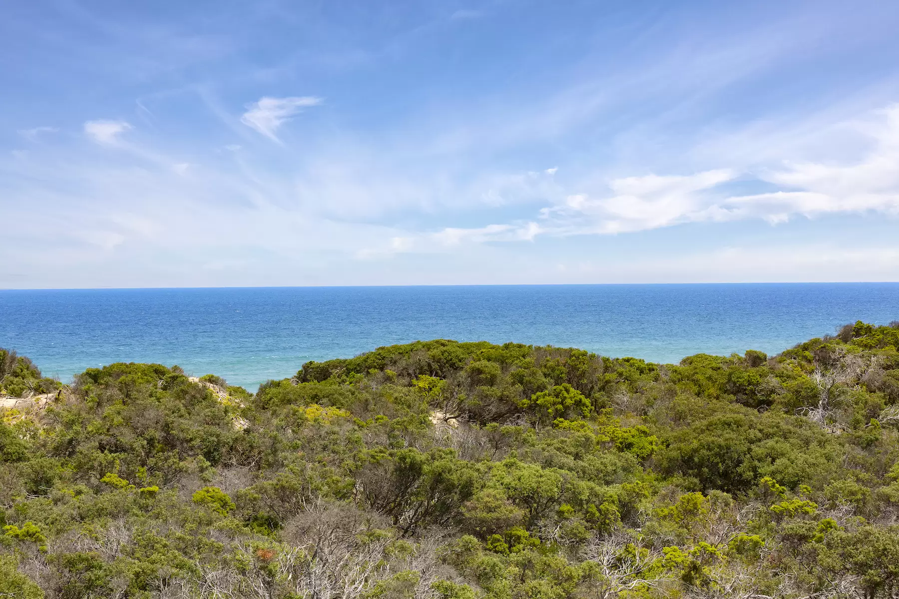 16 Ritchie Avenue, Blairgowrie Sold by Melbourne Sotheby's International Realty - image 3