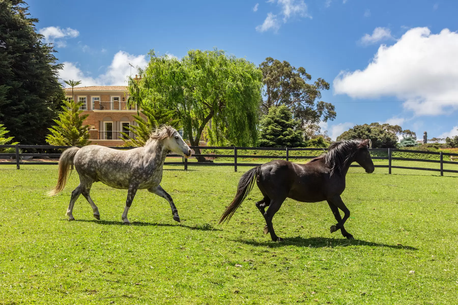 183 Musk Creek Road, Flinders Sold by Melbourne Sotheby's International Realty - image 5