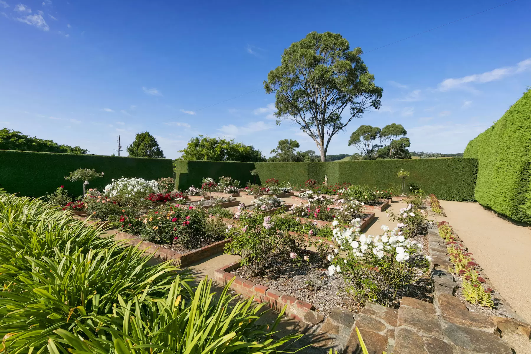 169 Musk Creek Road, Flinders Sold by Melbourne Sotheby's International Realty - image 6