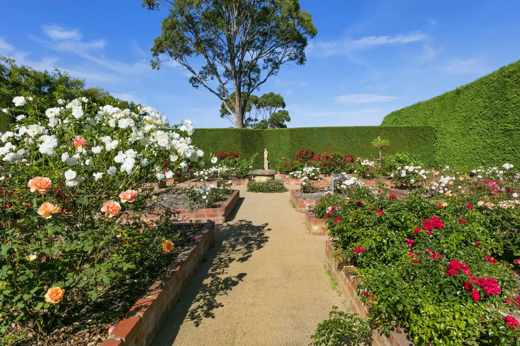 169 Musk Creek Road, Flinders Sold by Melbourne Sotheby's International Realty - image 5