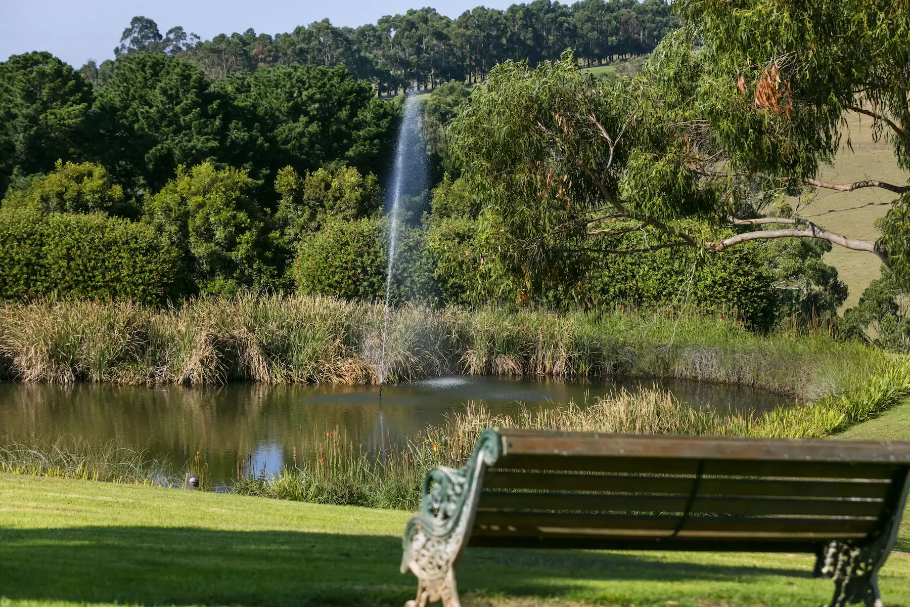 169 Musk Creek Road, Flinders Sold by Melbourne Sotheby's International Realty - image 1