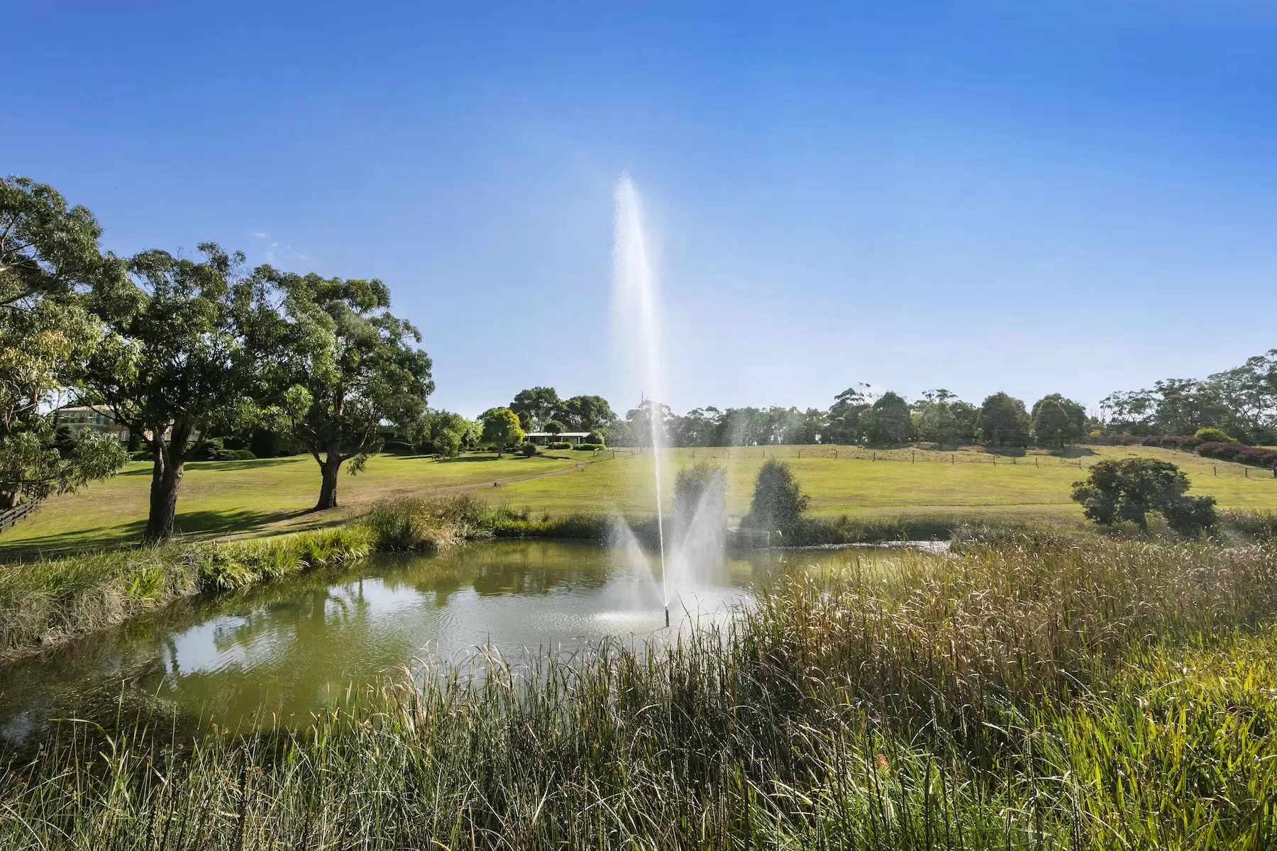 169 Musk Creek Road, Flinders Sold by Melbourne Sotheby's International Realty - image 17