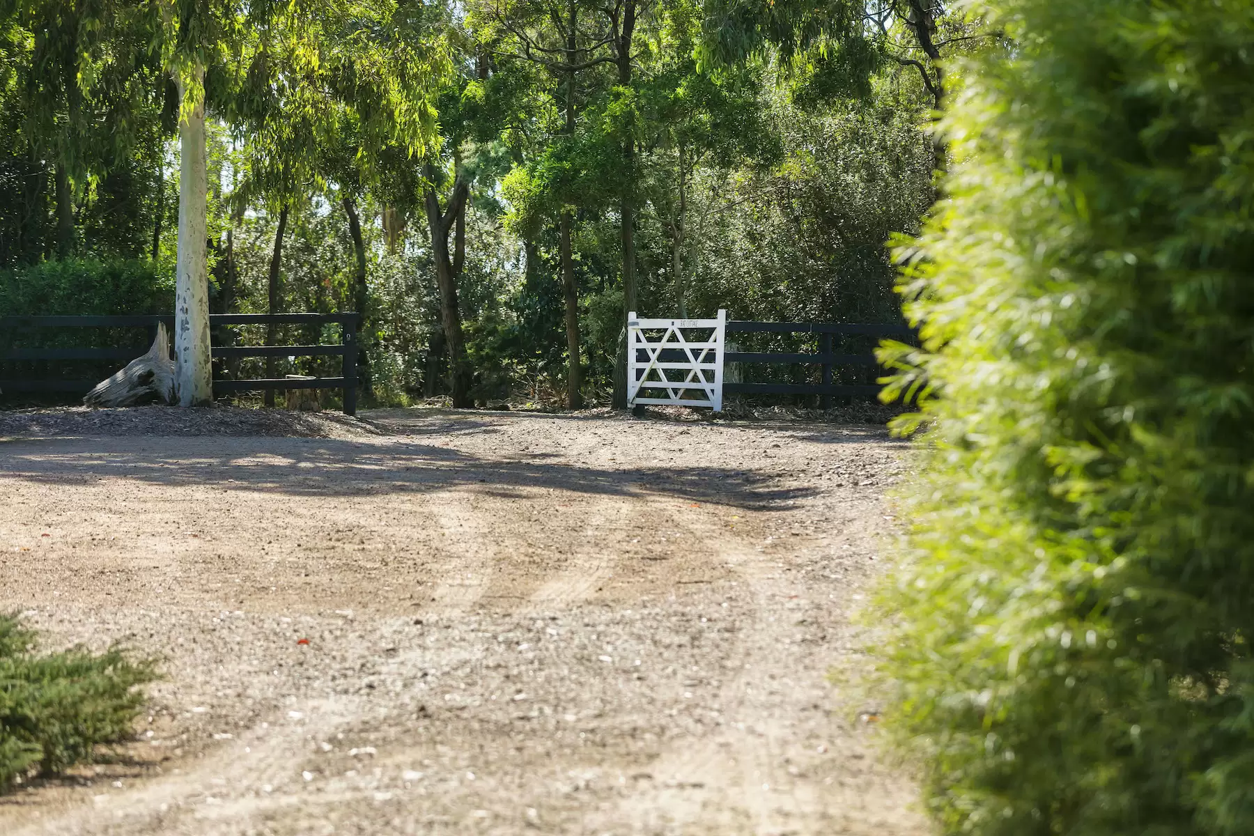 169 Musk Creek Road, Flinders Sold by Melbourne Sotheby's International Realty - image 3