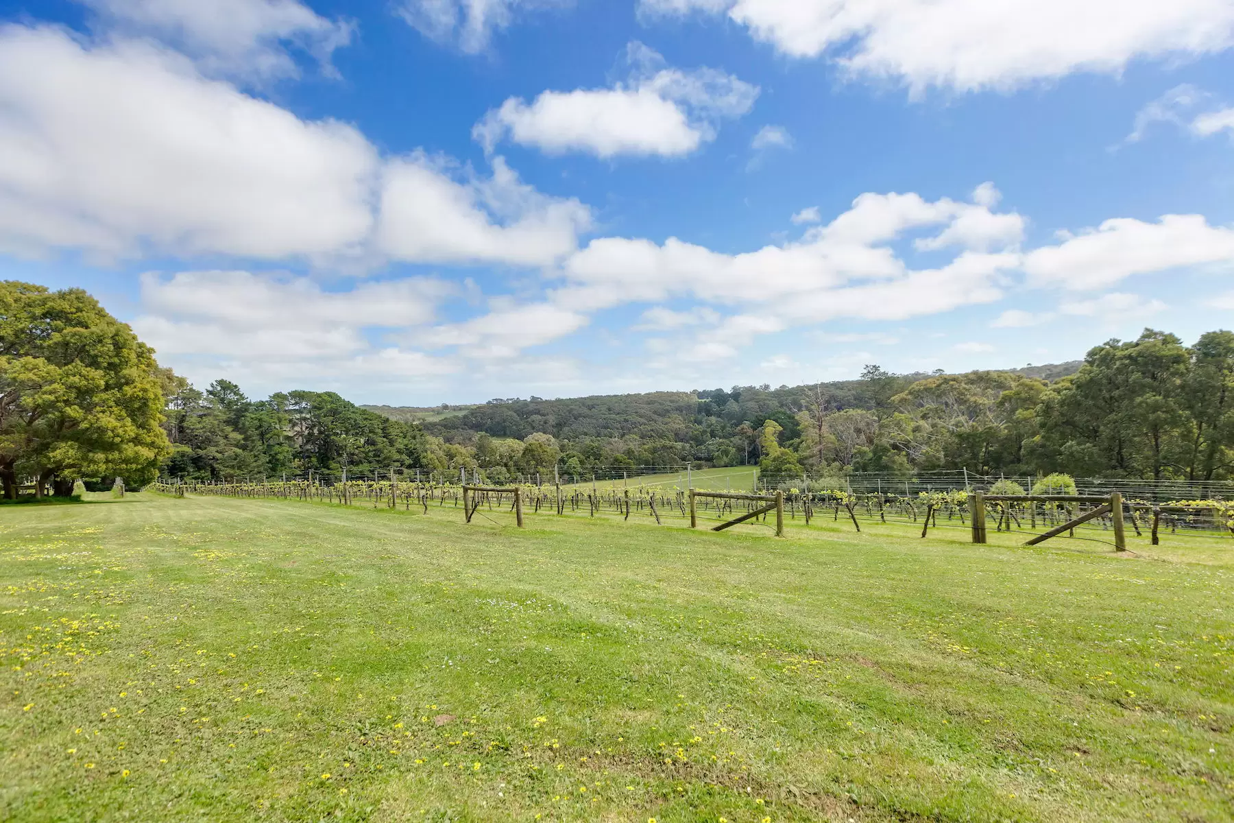 224 Main Creek Road, Main Ridge Sold by Melbourne Sotheby's International Realty - image 14