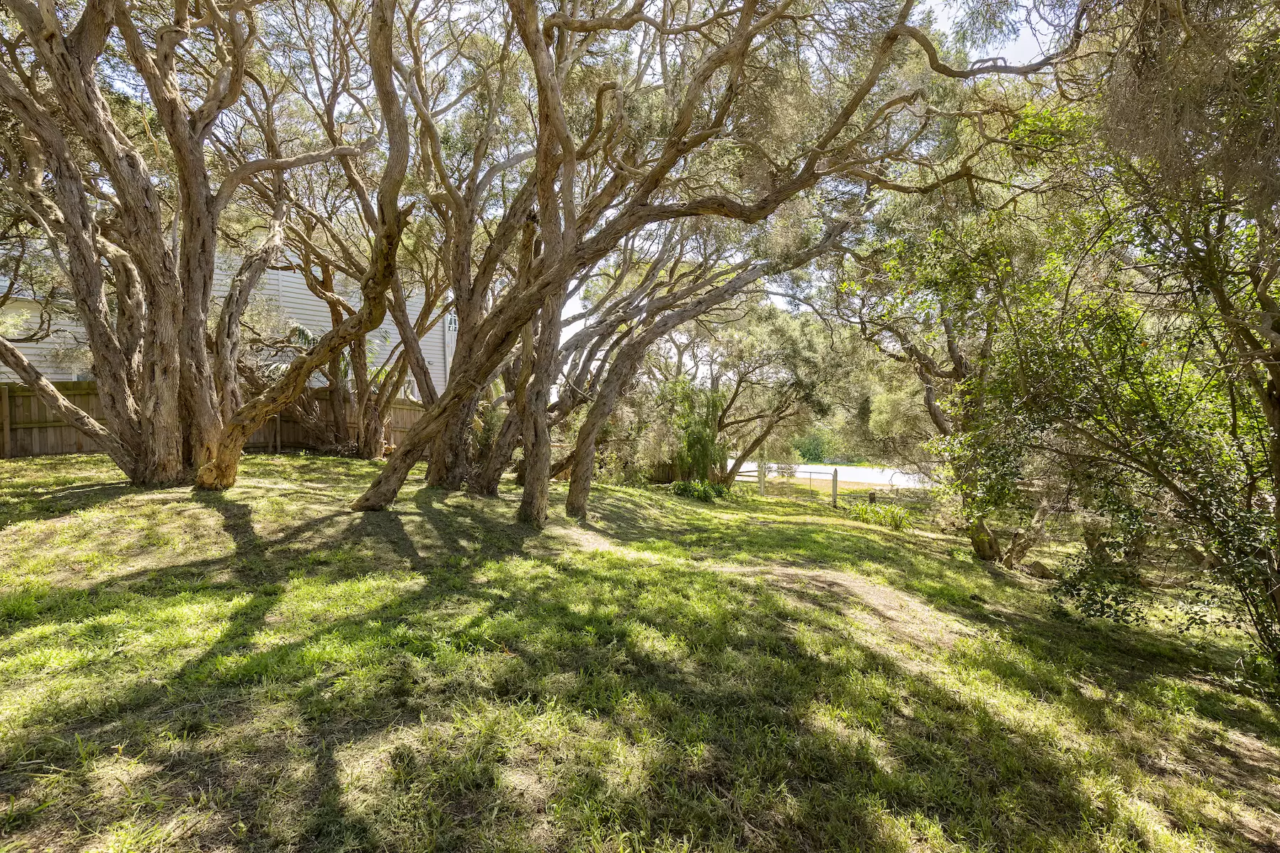 3207 Point Nepean Road, Sorrento Sold by Melbourne Sotheby's International Realty - image 8