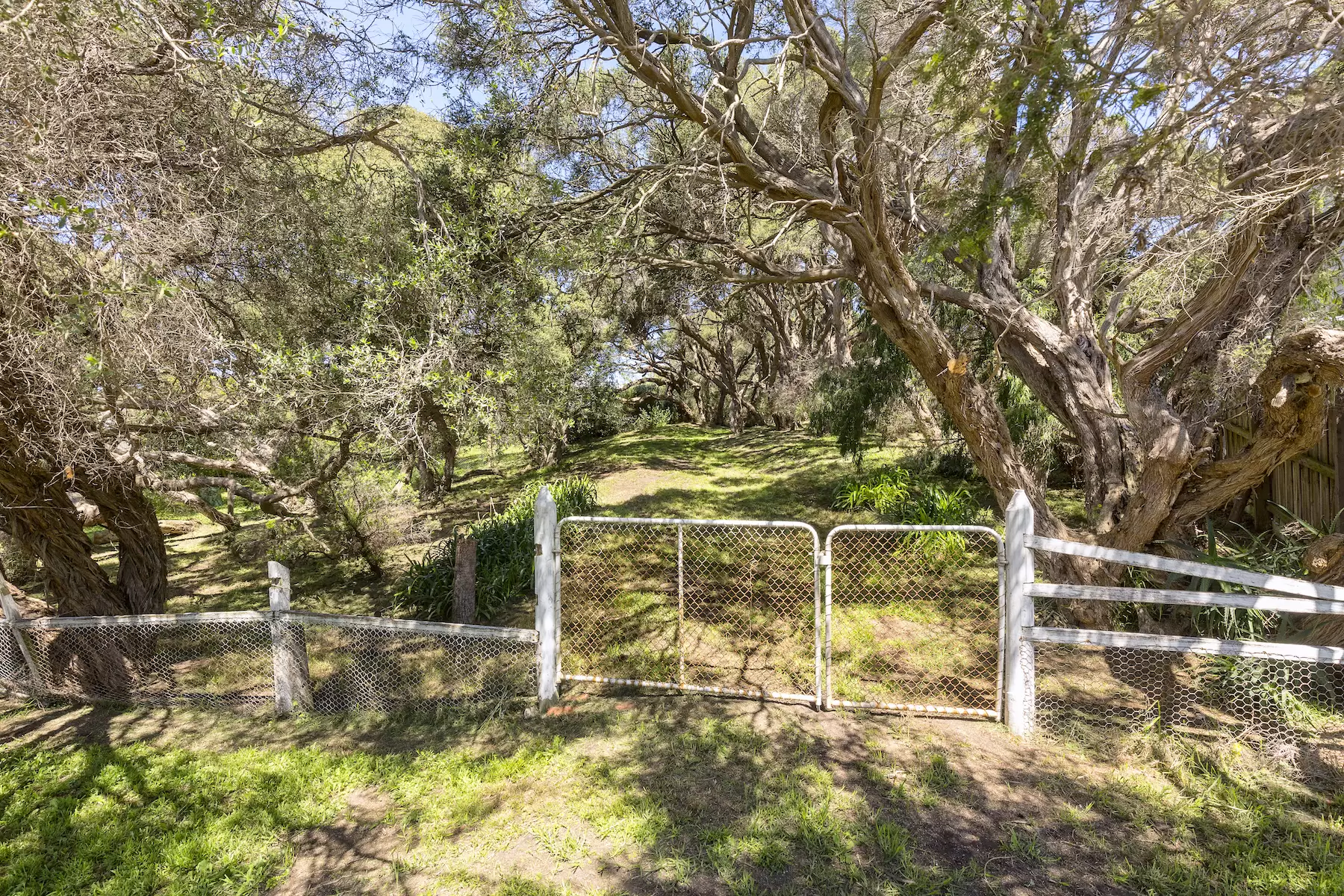 3207 Point Nepean Road, Sorrento Sold by Melbourne Sotheby's International Realty - image 4