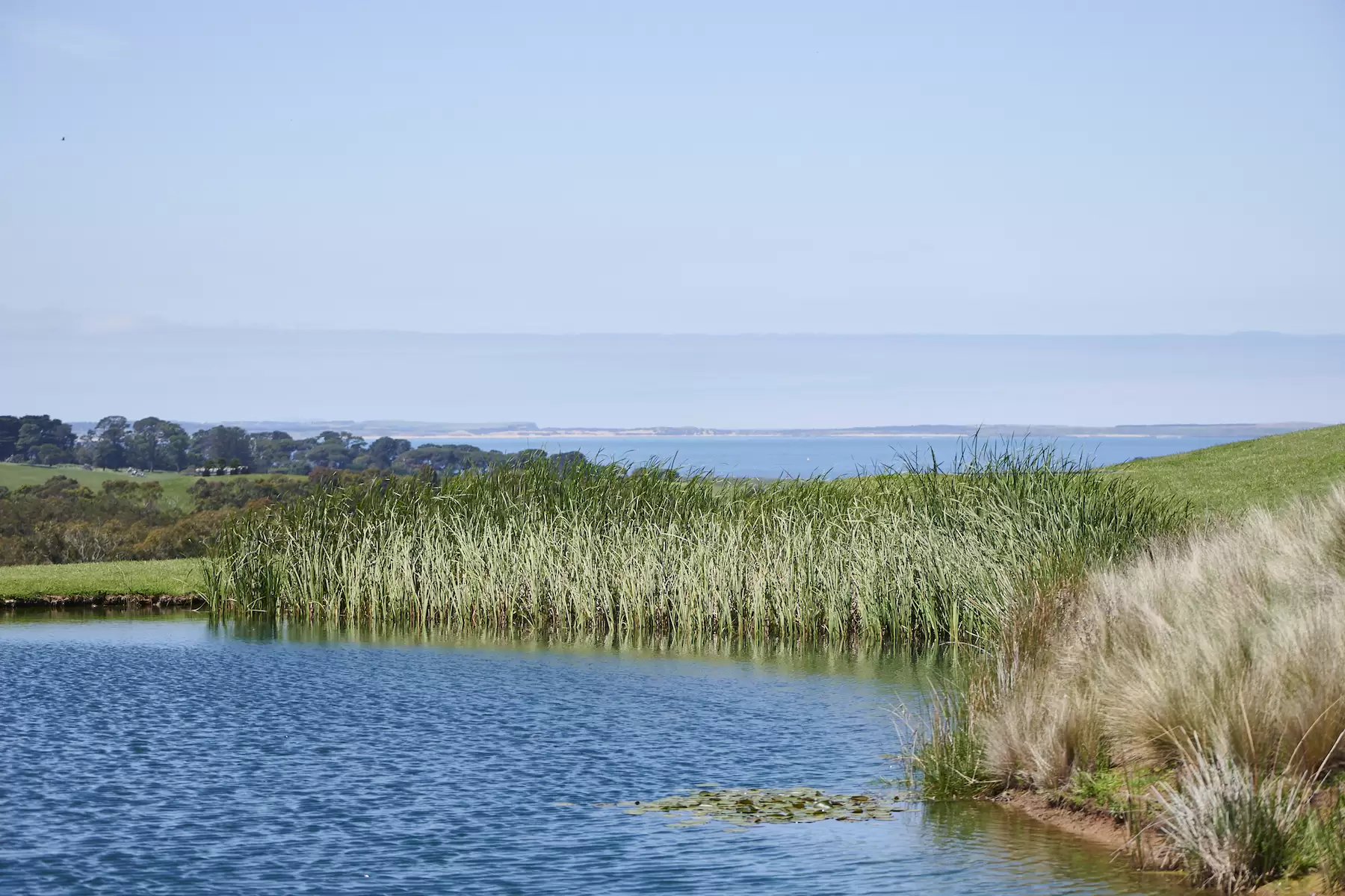 160 Musk Creek Road, Flinders Sold by Melbourne Sotheby's International Realty - image 5