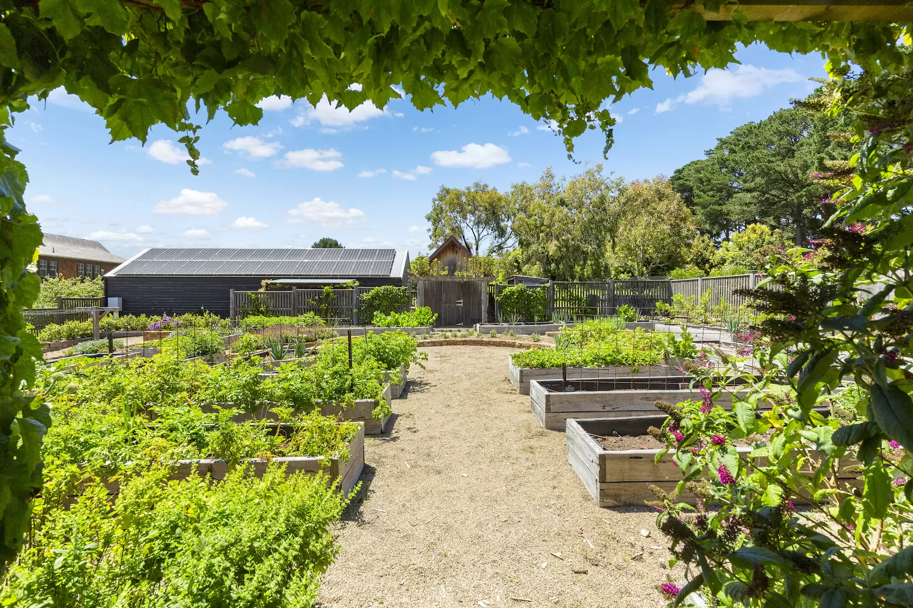 26 Browns Road, Main Ridge Sold by Melbourne Sotheby's International Realty - image 14