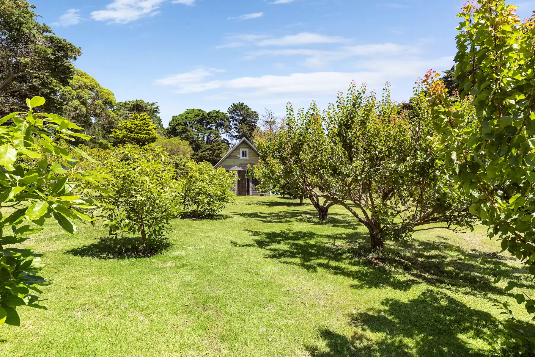 26 Browns Road, Main Ridge Sold by Melbourne Sotheby's International Realty - image 11