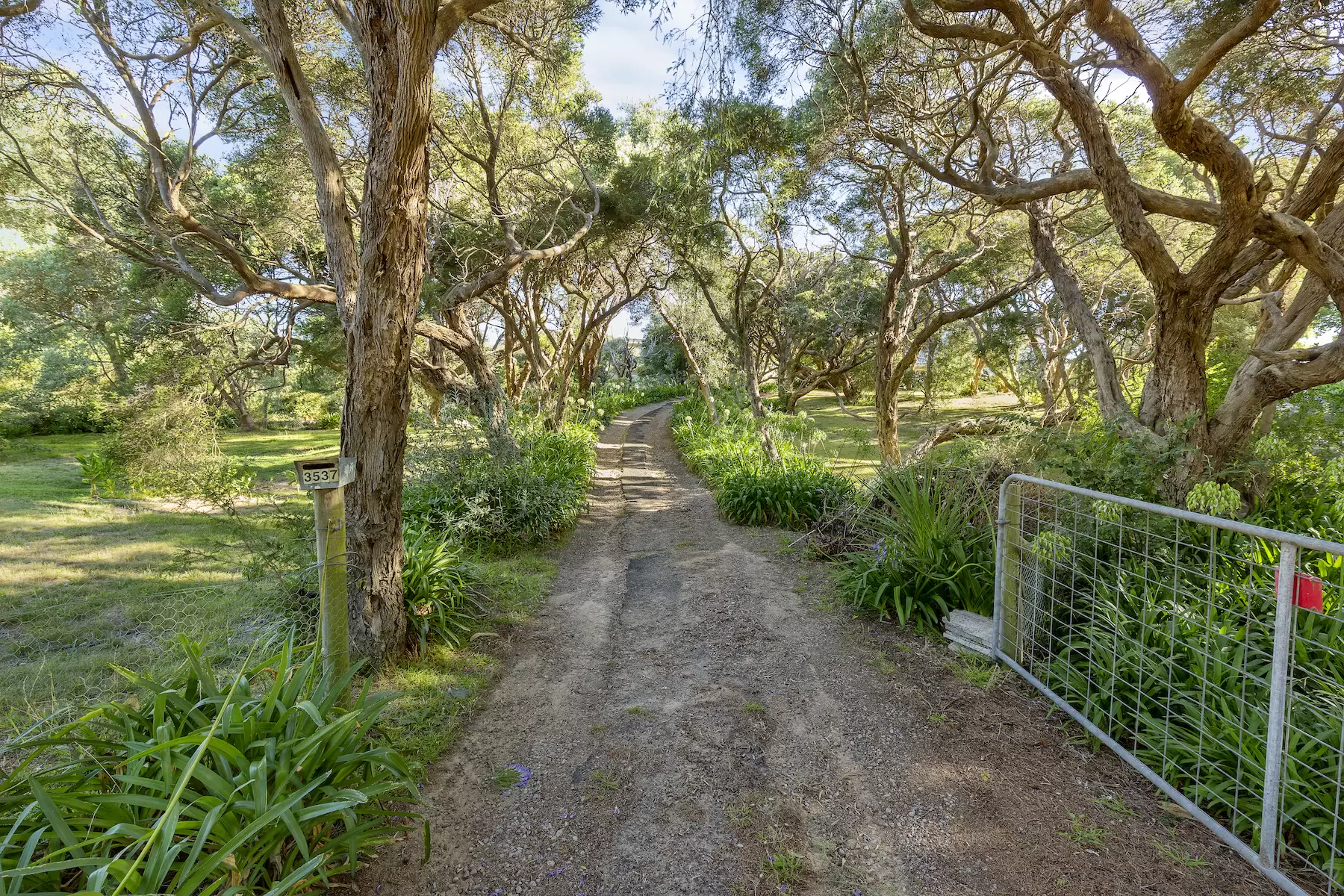 3537 Point Nepean Road, Sorrento Sold by Melbourne Sotheby's International Realty - image 8