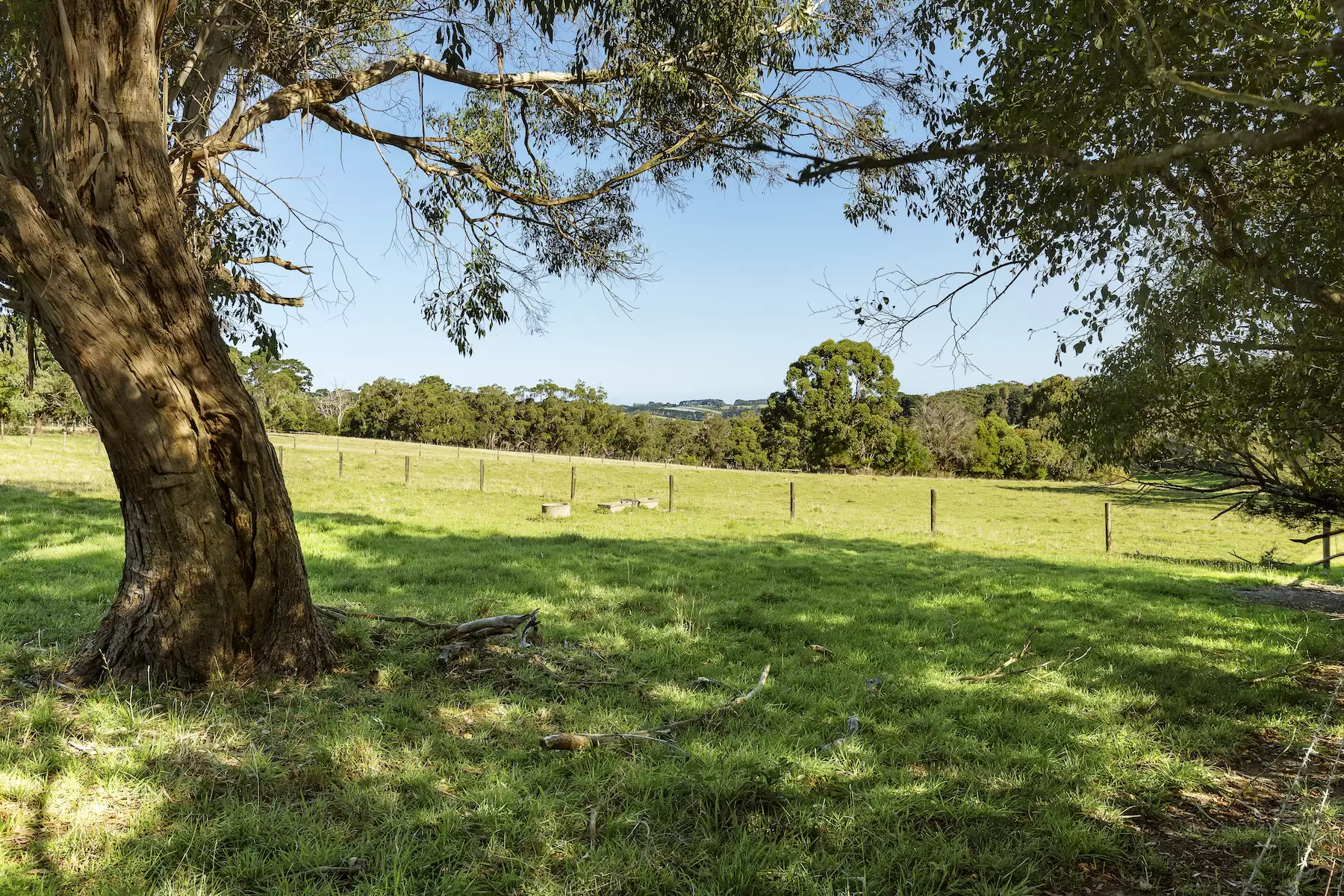 503 Purves Road, Main Ridge Sold by Melbourne Sotheby's International Realty - image 3