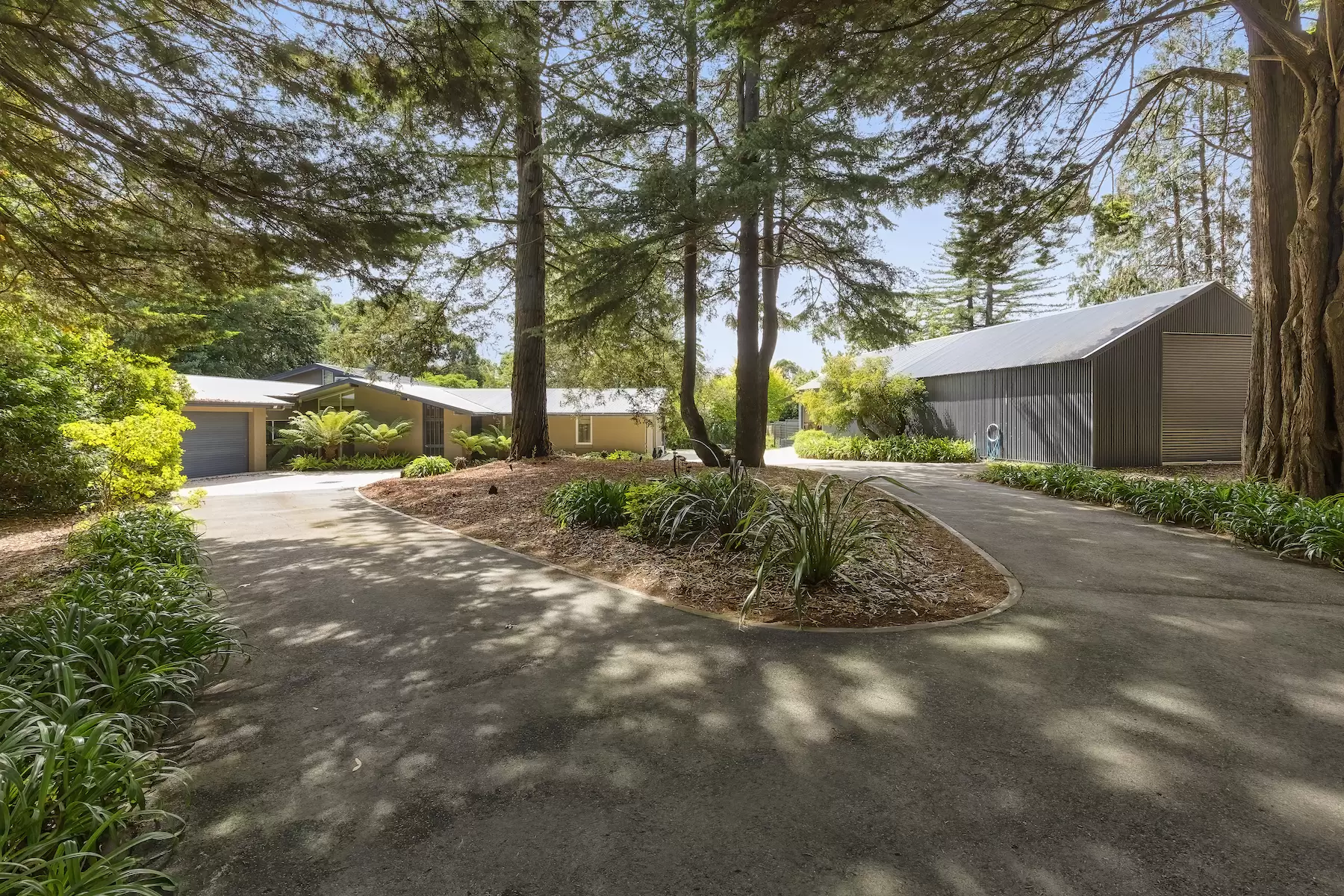 360 Arthurs Seat Road, Red Hill Sold by Melbourne Sotheby's International Realty - image 3