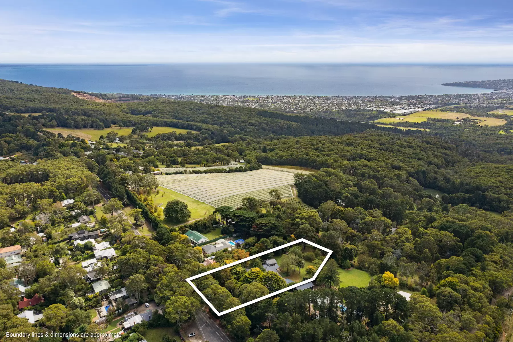 360 Arthurs Seat Road, Red Hill Sold by Melbourne Sotheby's International Realty - image 15