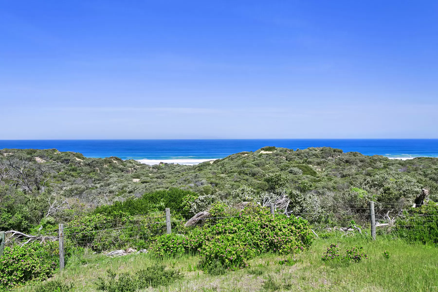 Lots/103-112 Wildcoast Road, Portsea Sold by Melbourne Sotheby's International Realty - image 20