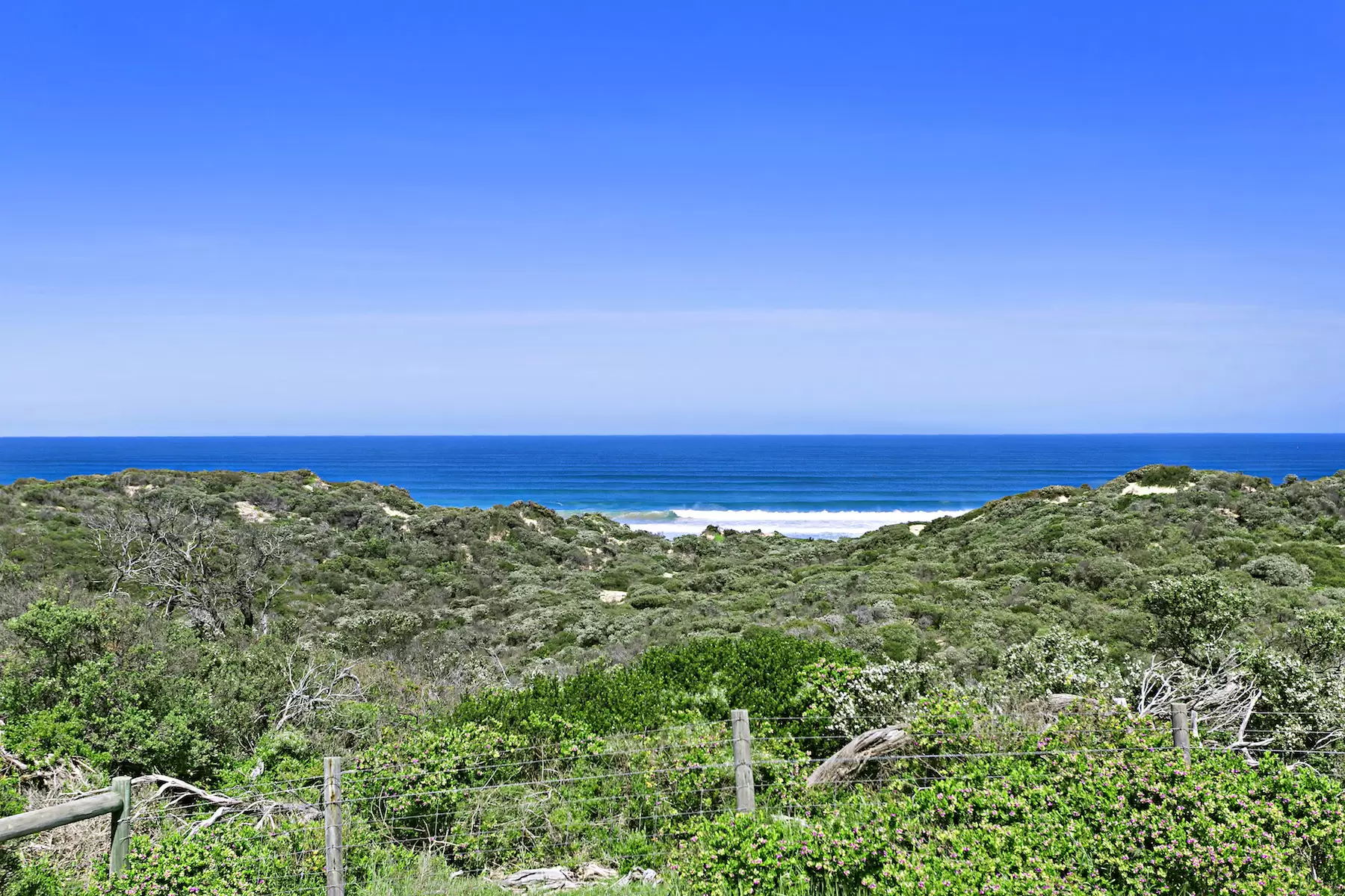 Lots/103-112 Wildcoast Road, Portsea Sold by Melbourne Sotheby's International Realty - image 6