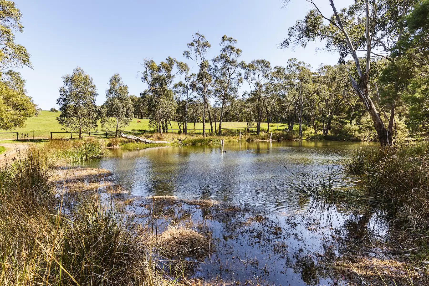 29 Callanans Road, Red Hill South Sold by Melbourne Sotheby's International Realty - image 23