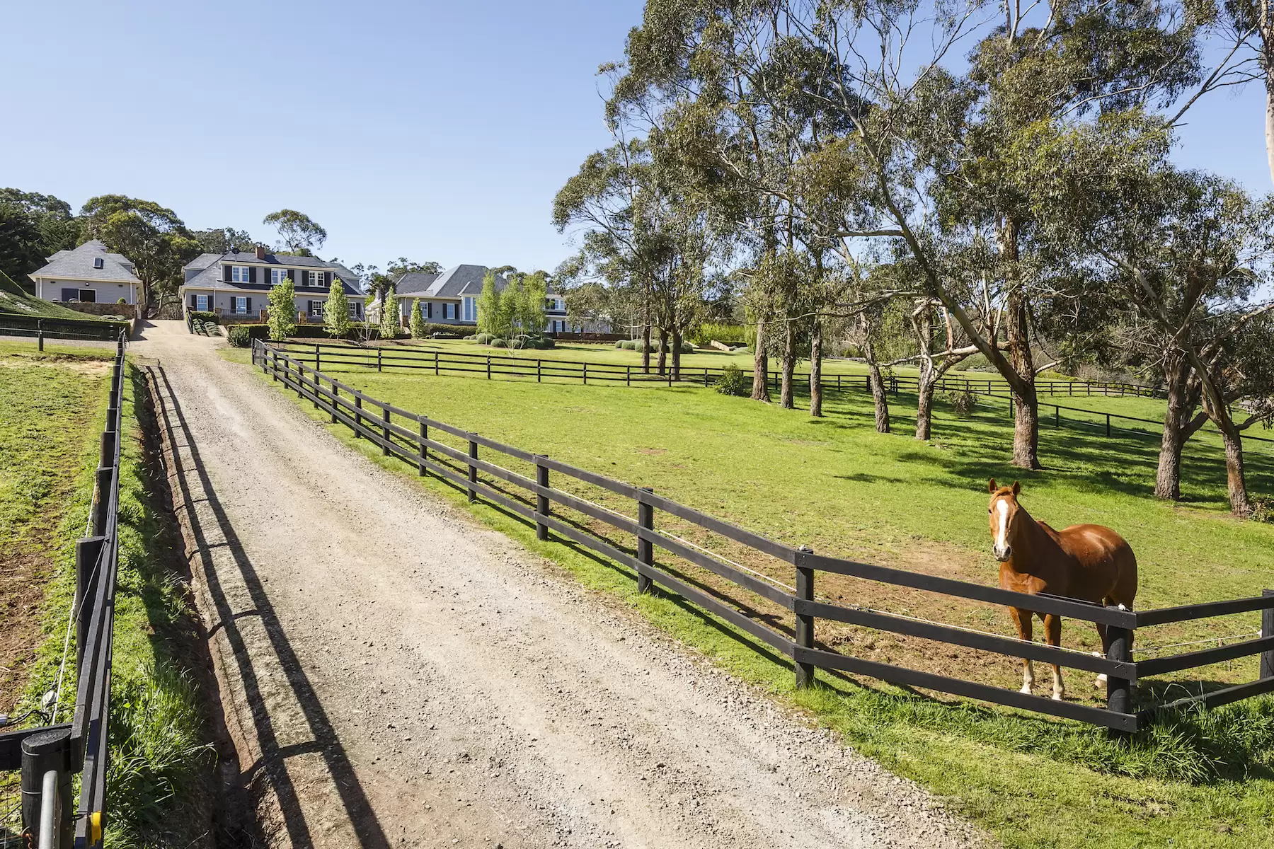 29 Callanans Road, Red Hill South Sold by Melbourne Sotheby's International Realty - image 11