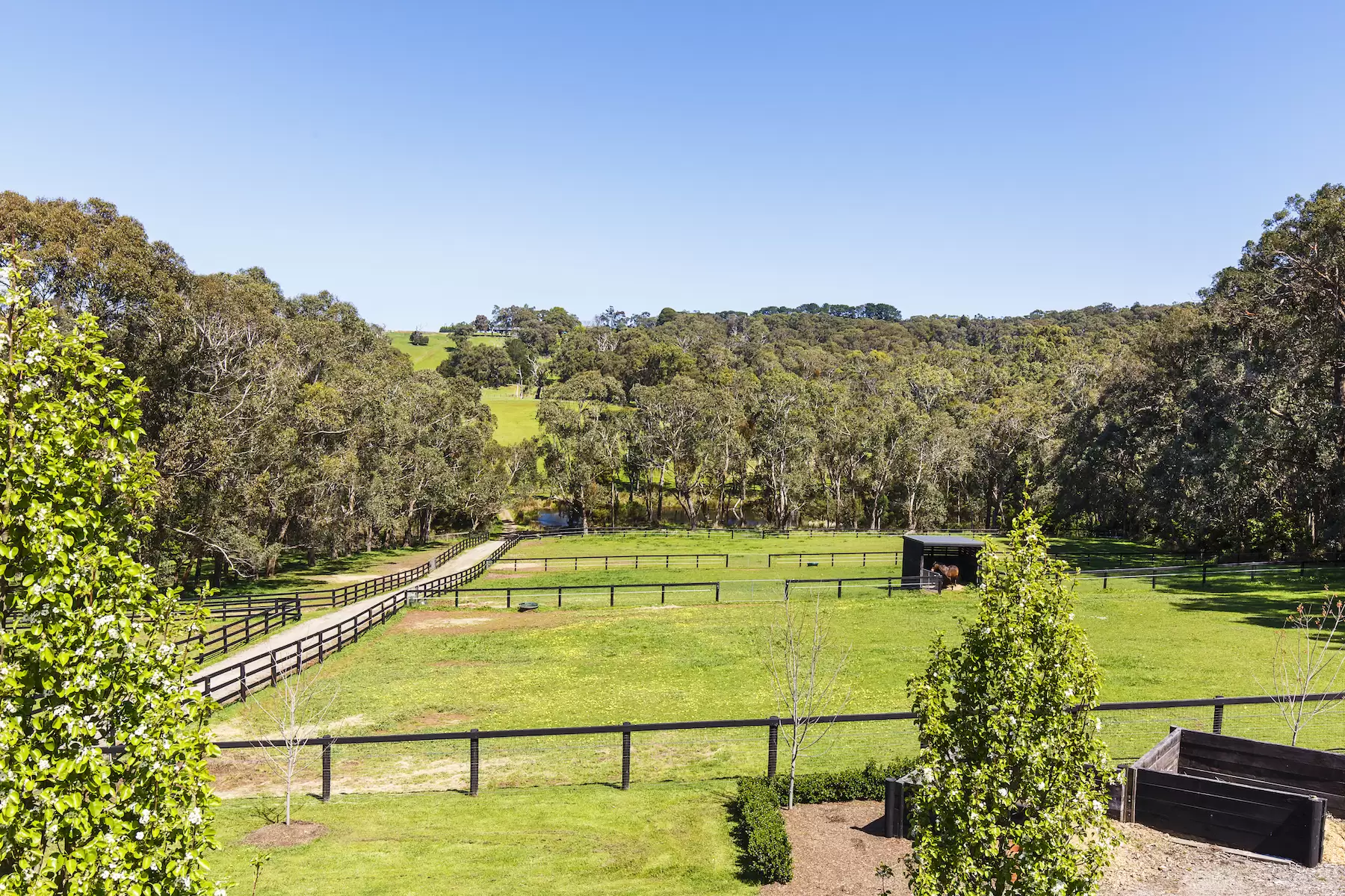 29 Callanans Road, Red Hill South Sold by Melbourne Sotheby's International Realty - image 24