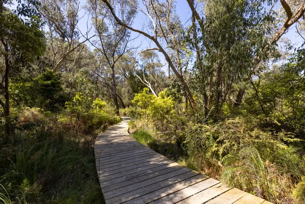 3 Pickwood Close, Montrose Sold by Melbourne Sotheby's International Realty - image 24