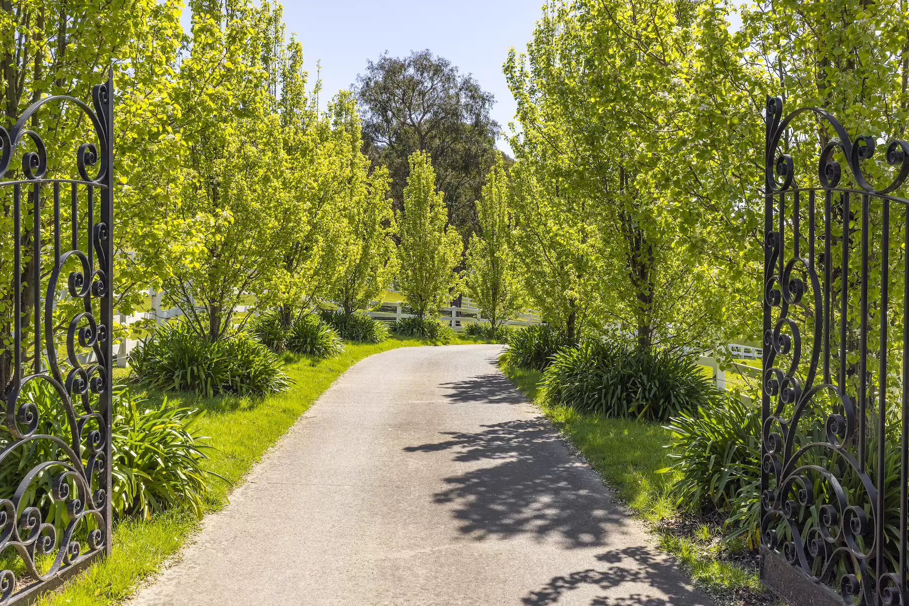 3 Pickwood Close, Montrose Sold by Melbourne Sotheby's International Realty - image 2