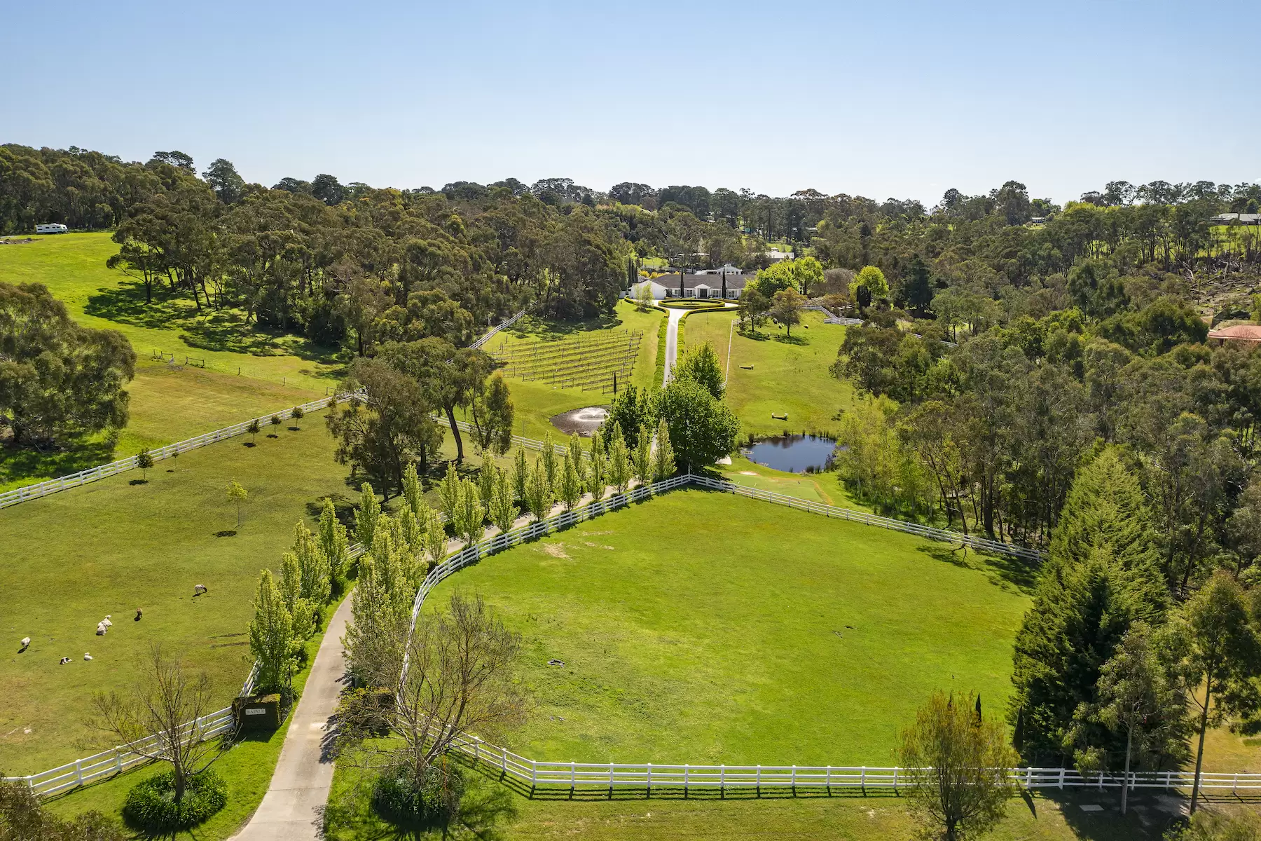 3 Pickwood Close, Montrose Sold by Melbourne Sotheby's International Realty - image 26