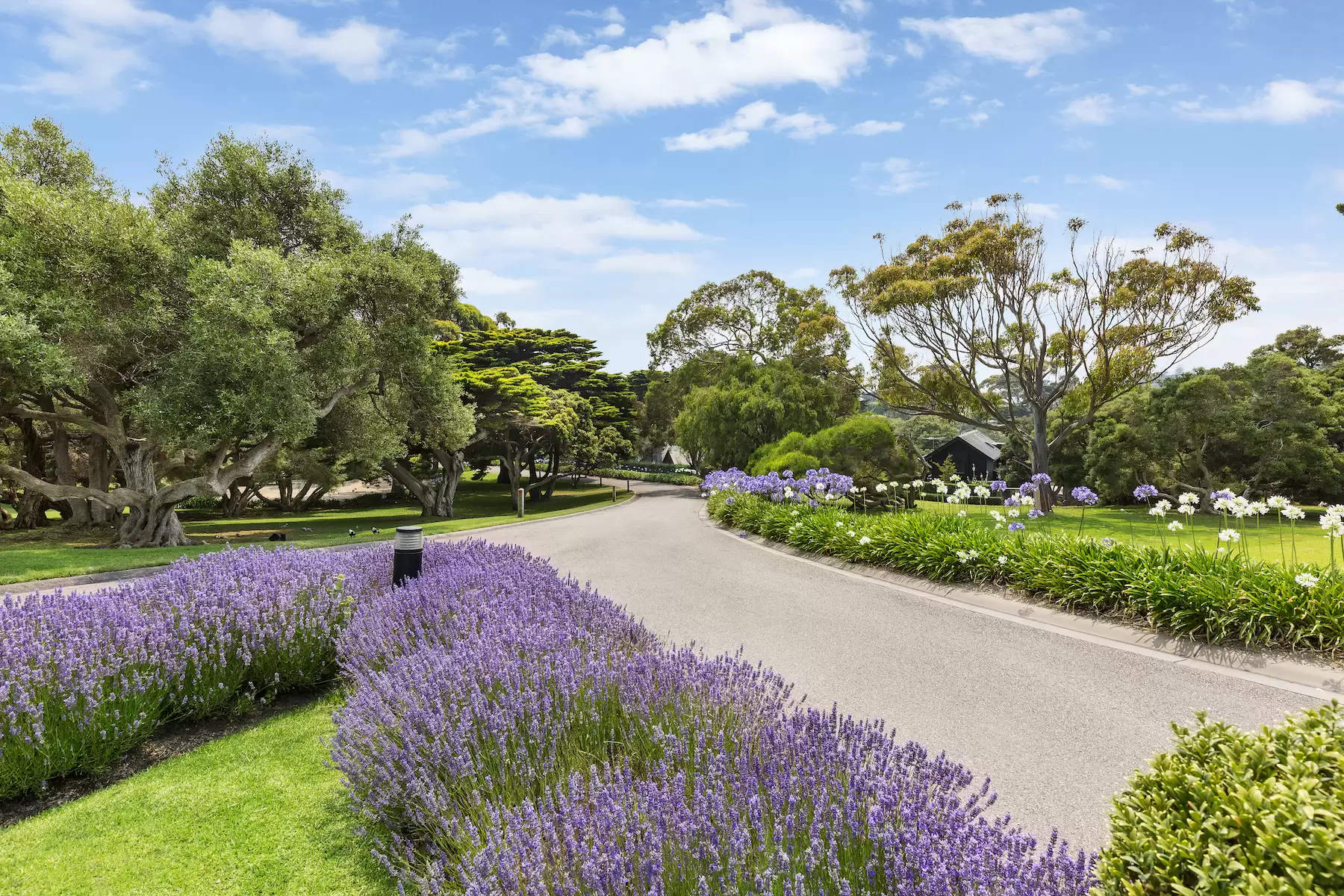 29 Armytage Drive, Portsea Sold by Melbourne Sotheby's International Realty - image 16