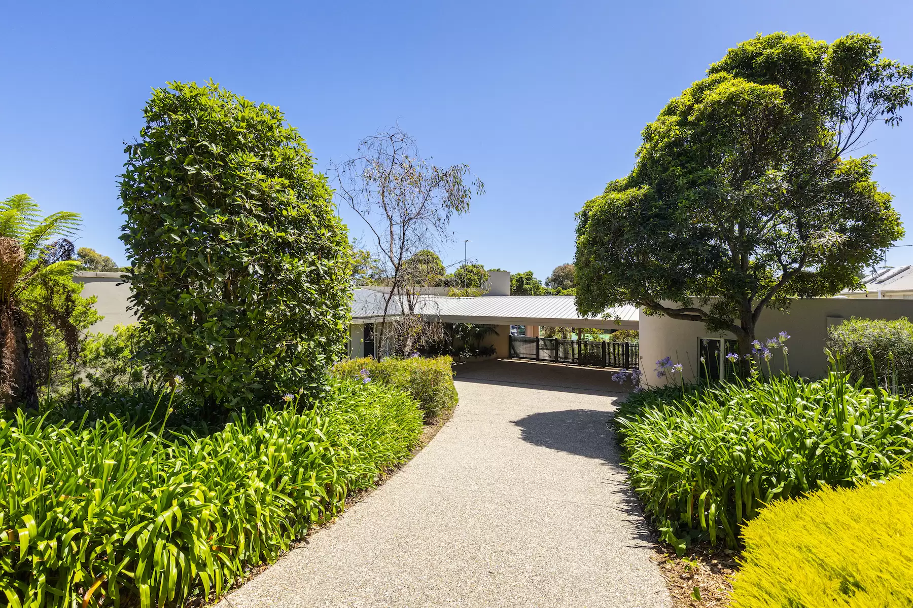 34 Macgregor Avenue, Portsea Sold by Melbourne Sotheby's International Realty - image 7