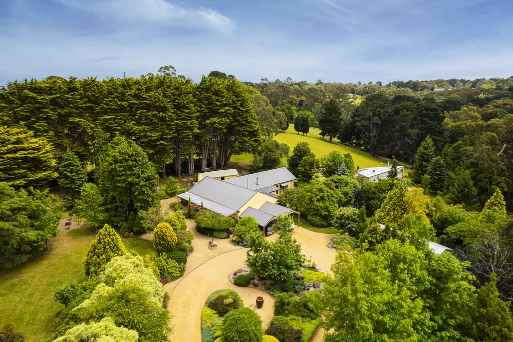 42 Ocean View Avenue, Red Hill South Sold by Melbourne Sotheby's International Realty