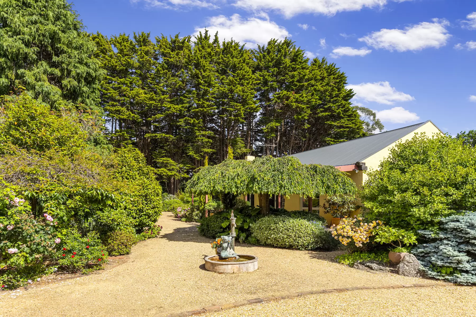 42 Ocean View Avenue, Red Hill South Sold by Melbourne Sotheby's International Realty - image 5