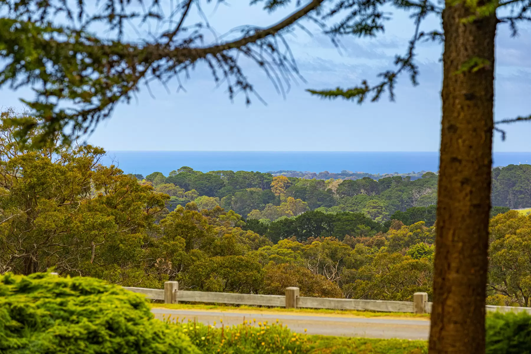 42 Ocean View Avenue, Red Hill South Sold by Melbourne Sotheby's International Realty - image 7