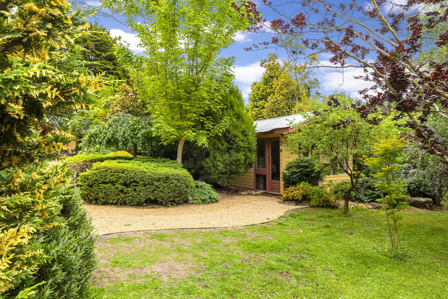 42 Ocean View Avenue, Red Hill South Sold by Melbourne Sotheby's International Realty - image 9