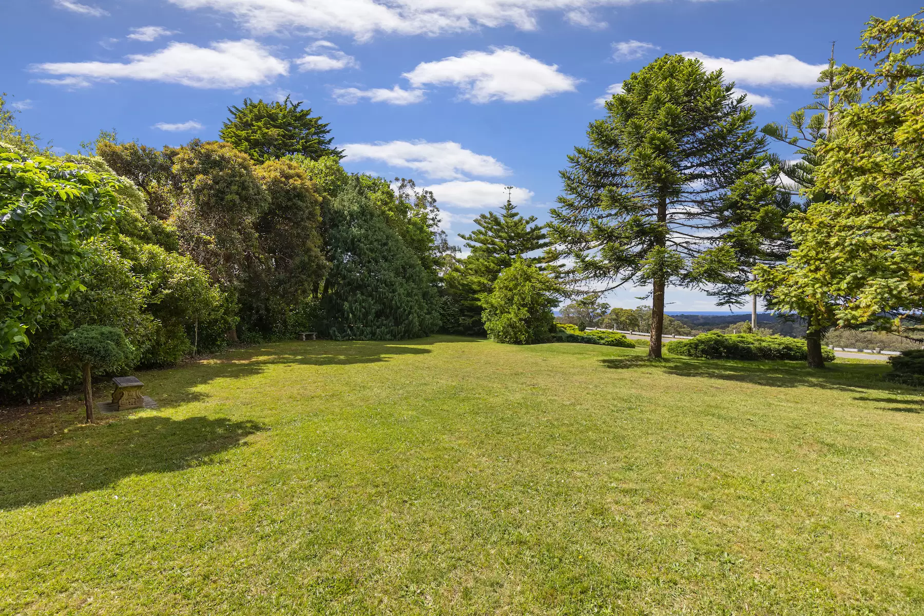 42 Ocean View Avenue, Red Hill South Sold by Melbourne Sotheby's International Realty - image 8