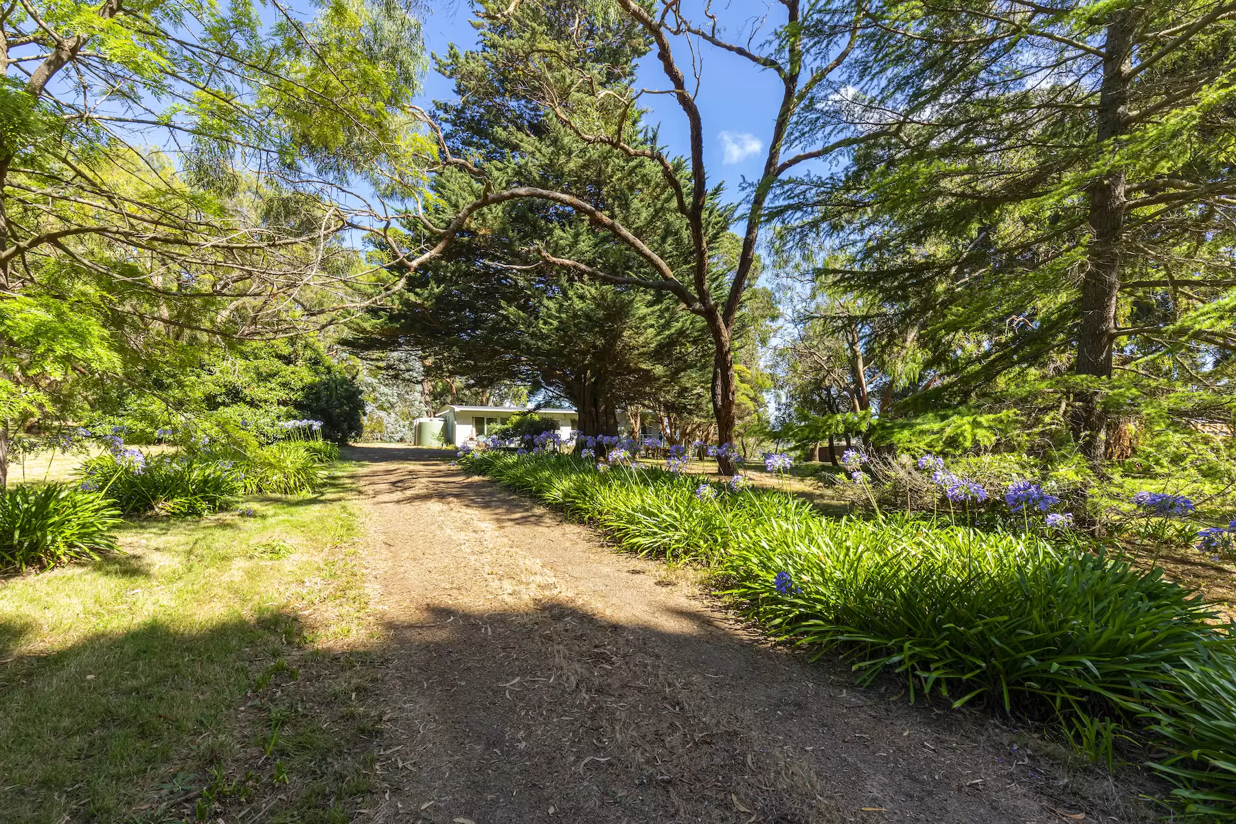 528 Purves Road, Main Ridge Sold by Melbourne Sotheby's International Realty - image 4