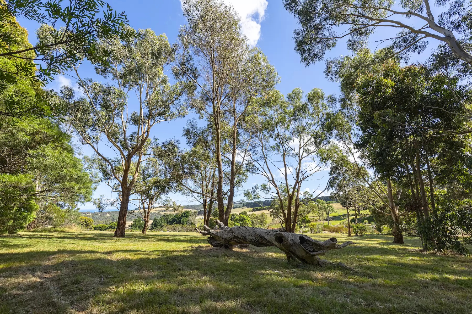 528 Purves Road, Main Ridge Sold by Melbourne Sotheby's International Realty - image 8