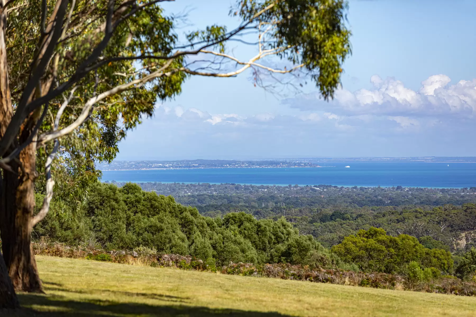 528 Purves Road, Main Ridge Sold by Melbourne Sotheby's International Realty - image 1